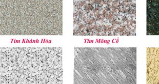 Bao Gia Da Hoa Cuong